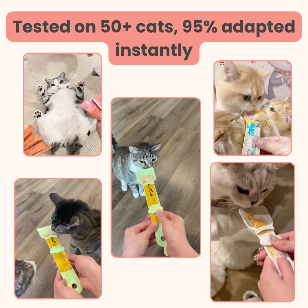 Licksy | Cat Treat Spoon