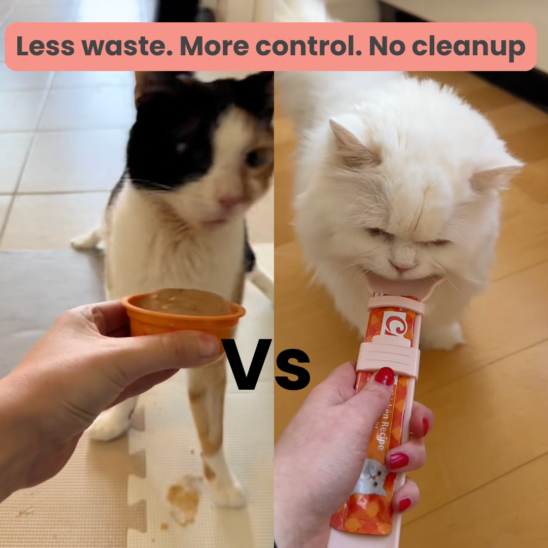 Licksy | Cat Treat Spoon
