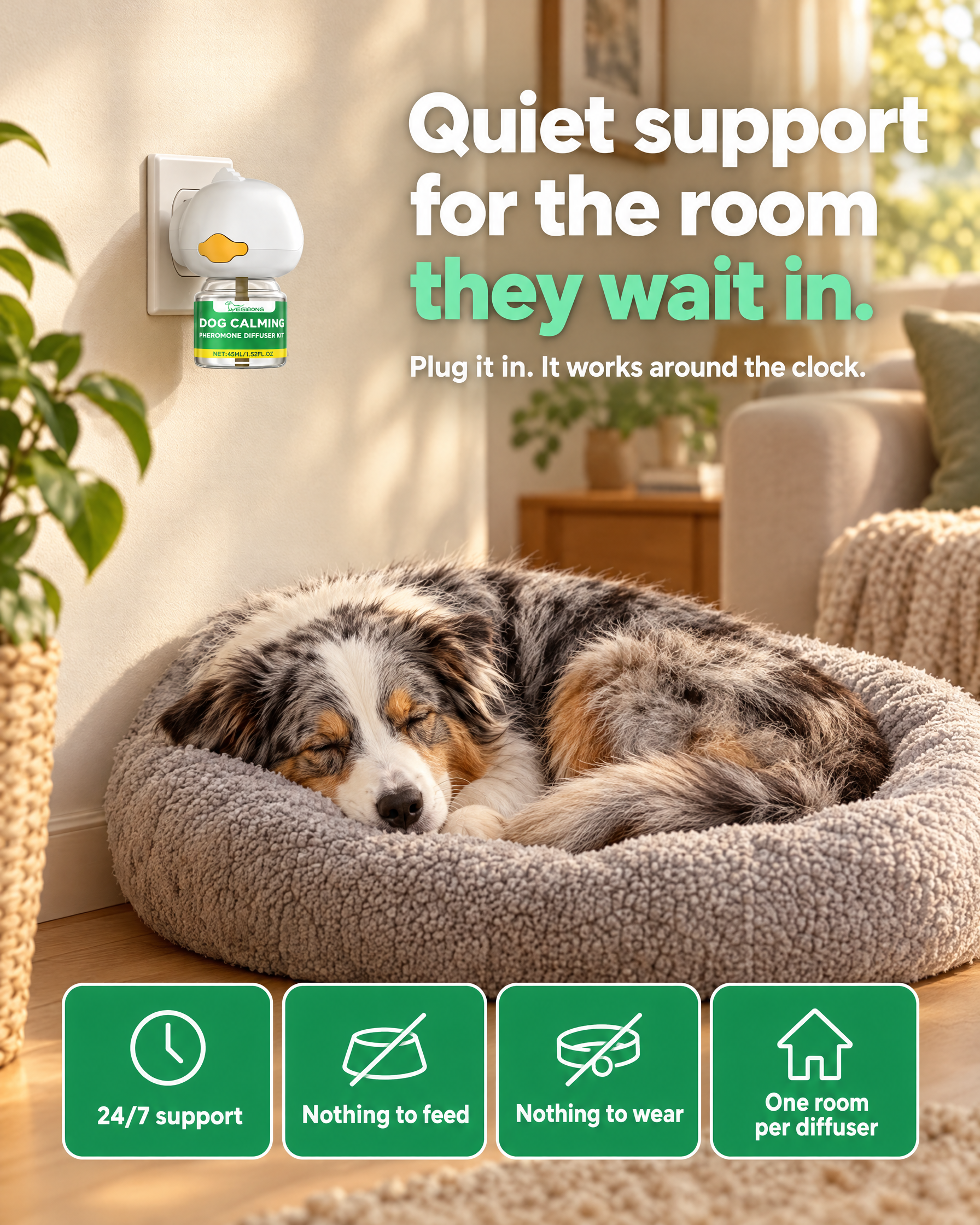 Calmio diffuser plugged in near a sleeping dog