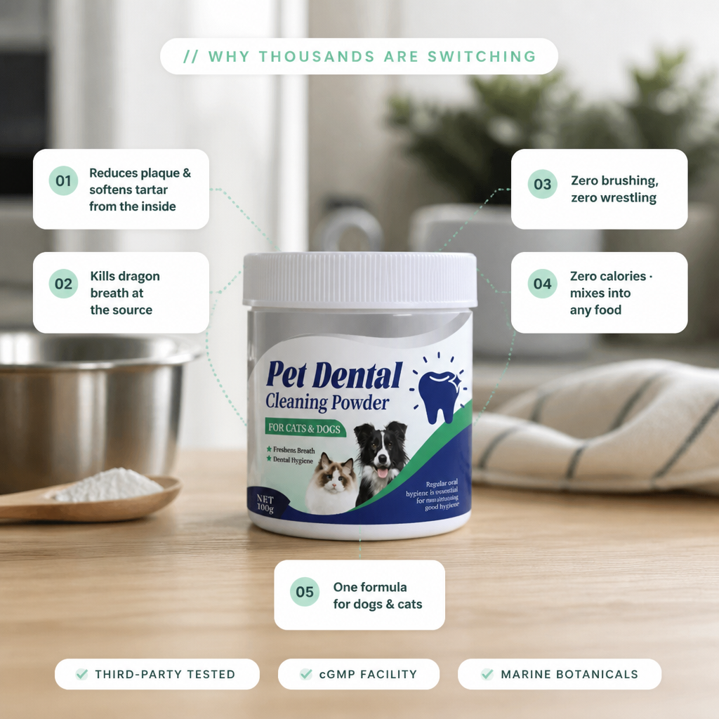 MintMuzzle™ Dental Powder