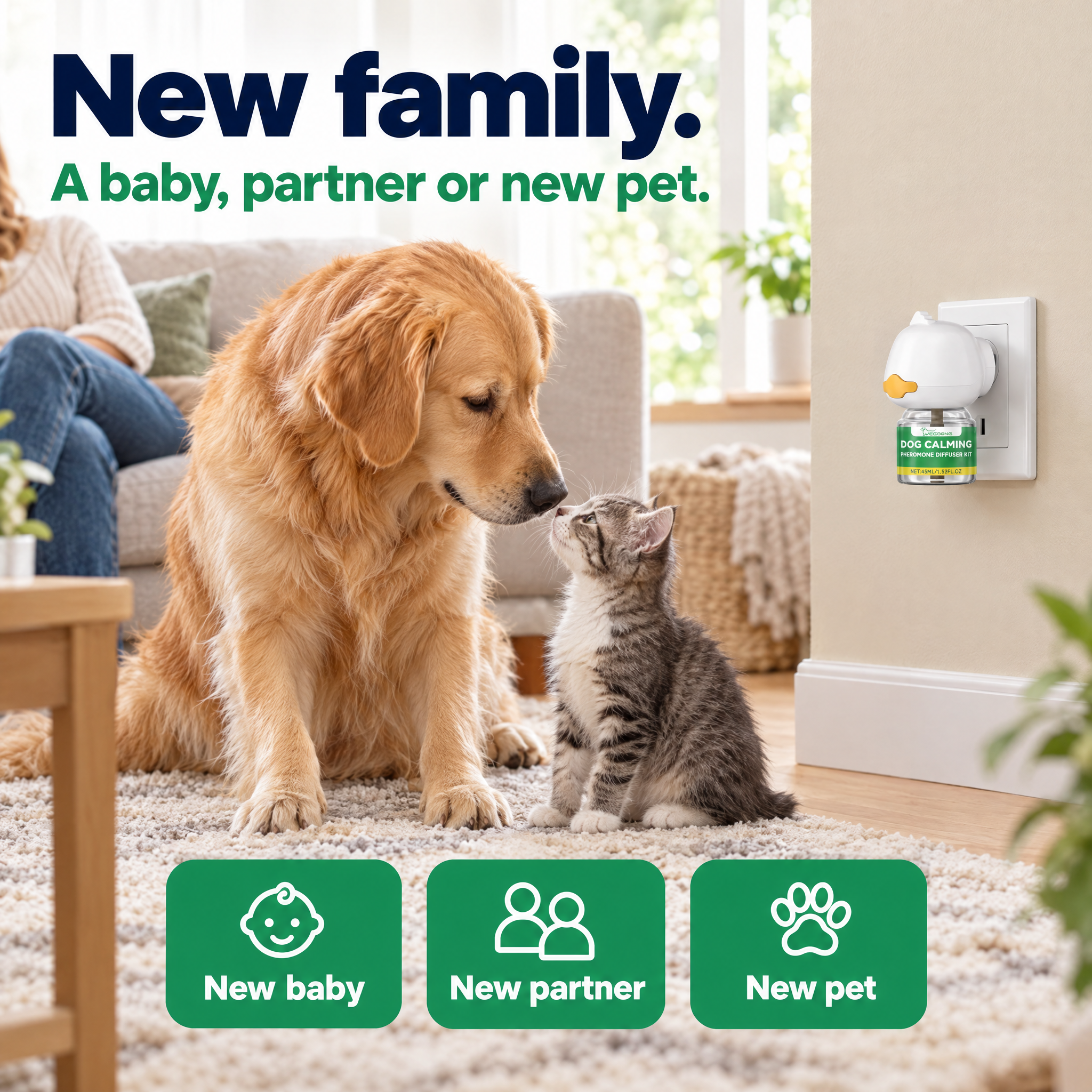 Dog meeting a new family member