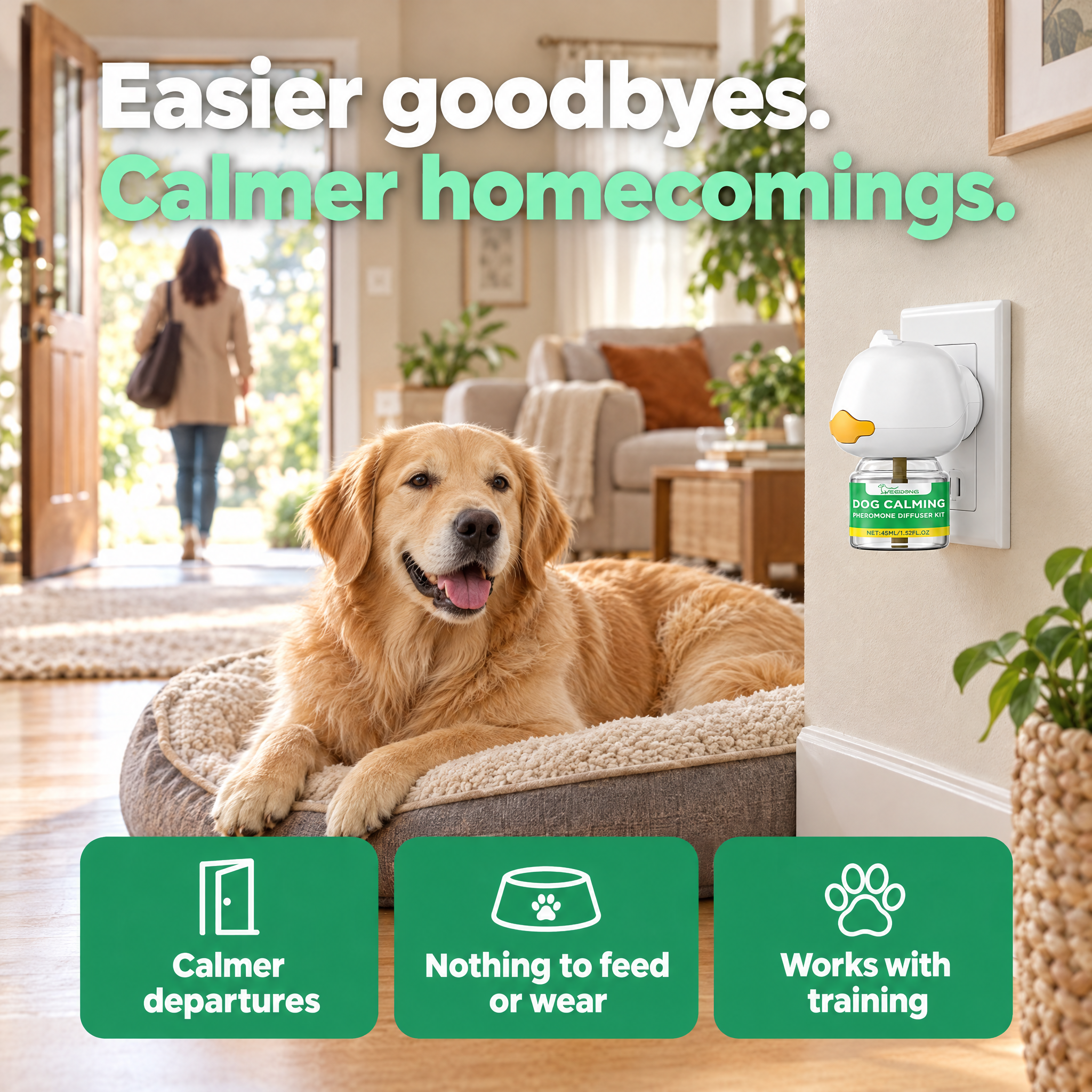 Dog resting on its bed near the Calmio diffuser as the owner heads out